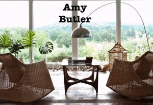 Amy Butler