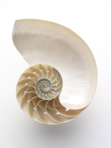 Anita Calero, Photography