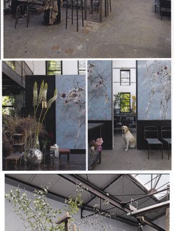 Clare Basler, Flower Portraits, Paris Workshop