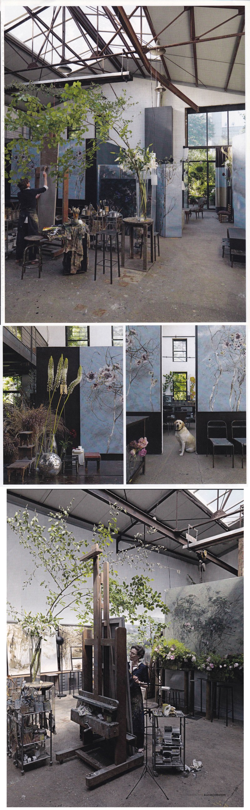 Clare Basler, Flower Portraits, Paris Workshop