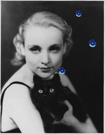 weimarcarole and cat copy Carole Lombard and the cat