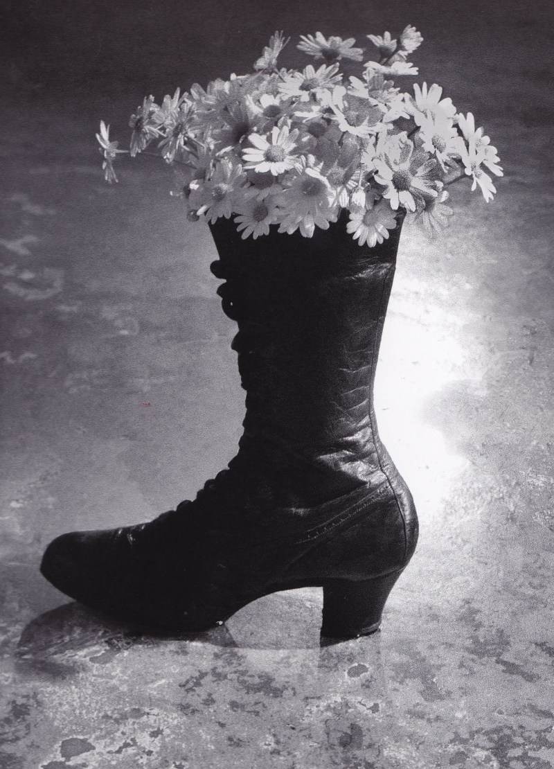 Sam Haskins, Cowboy Kate and other stories, showgirl boots and flowers