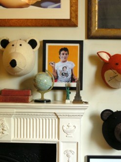 Animal heads for animal lovers, taxidermy, bloomsbury store, graham and green