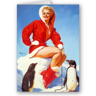 Christmas pin up