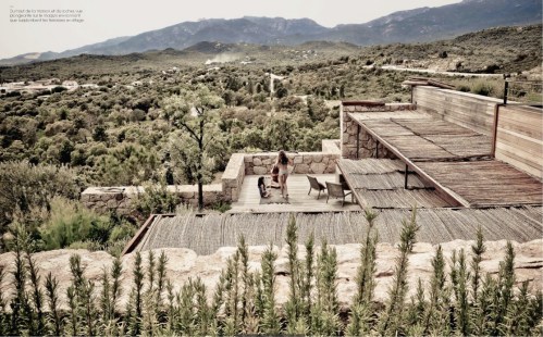 zadig & voltaire, milk decoration, corisca