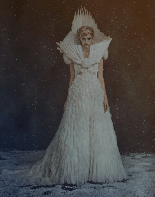 Carl Bengtsson, photographer