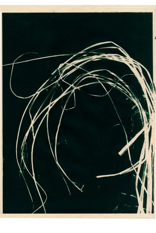 Aurore de la morinierie